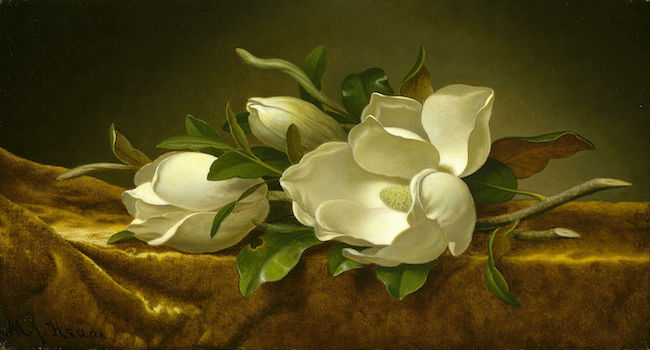Magnolias on Gold Velvet Cloth A million dollar surprise!